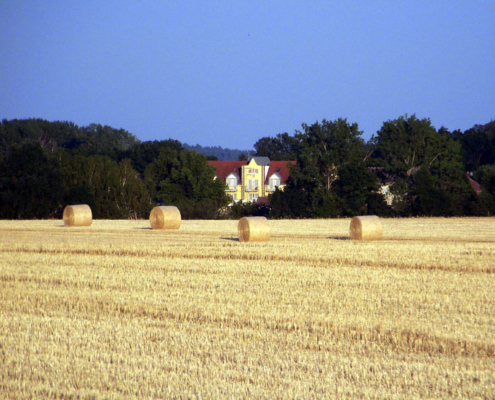 Das Landhotel Löwenbruch - Getreideernte - Hotel im Hintergrund